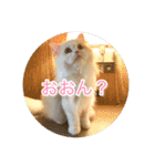 ドラジェのにちじょう（個別スタンプ：10）