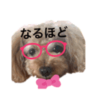 らむちんのスタンプ②（個別スタンプ：8）