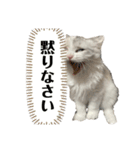 ミッシェルⅡ（個別スタンプ：2）