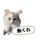 ミッシェルⅡ（個別スタンプ：3）