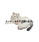 ミッシェルⅡ（個別スタンプ：21）