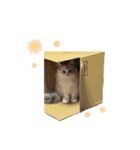 ミッシェルⅡ（個別スタンプ：22）