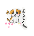 シーズーのパピーくん（個別スタンプ：1）