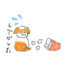 シーズーのパピーくん（個別スタンプ：5）