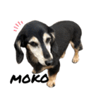 愛犬モコさん（個別スタンプ：33）