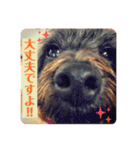 るんちゃんおすましスタンプ（個別スタンプ：3）