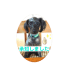 るんちゃんおすましスタンプ（個別スタンプ：10）