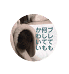 るんちゃんおすましスタンプ（個別スタンプ：13）