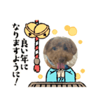 まろんらぶあんじースタンプ（個別スタンプ：6）