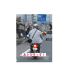 ハワイ尚の日常の3（個別スタンプ：2）
