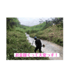ハワイ尚の日常の3（個別スタンプ：4）