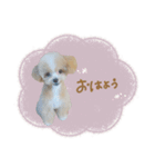 ♡ちゅちゅちゃん（個別スタンプ：1）