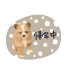 ♡ちゅちゅちゃん（個別スタンプ：7）