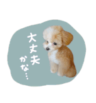 ♡ちゅちゅちゃん（個別スタンプ：8）