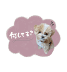 ♡ちゅちゅちゃん（個別スタンプ：10）