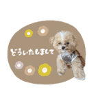 ♡ちゅちゅちゃん（個別スタンプ：11）