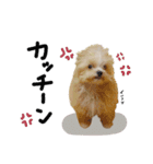 ♡ちゅちゅちゃん（個別スタンプ：18）