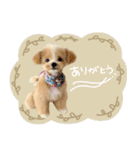 ♡ちゅちゅちゃん（個別スタンプ：19）