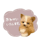 ♡ちゅちゅちゃん（個別スタンプ：22）