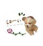 ♡ちゅちゅちゃん（個別スタンプ：23）