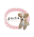 ♡ちゅちゅちゃん（個別スタンプ：24）