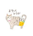 水彩で描いたネコだらけスタンプ その2（個別スタンプ：9）