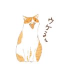水彩で描いたネコだらけスタンプ その2（個別スタンプ：16）