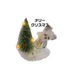 いぬちゃんとねこちゃん⑤年末年始（個別スタンプ：3）