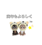 いぬちゃんとねこちゃん⑤年末年始（個別スタンプ：11）