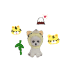 いぬちゃんとねこちゃん⑤年末年始（個別スタンプ：19）