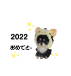 いぬちゃんとねこちゃん⑤年末年始（個別スタンプ：22）