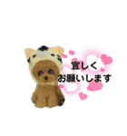 いぬちゃんとねこちゃん⑤年末年始（個別スタンプ：24）