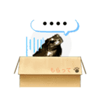 ボク ケロたん♡2（個別スタンプ：2）