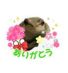 ボク ケロたん♡2（個別スタンプ：6）