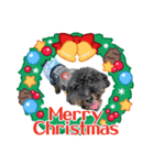 リアンクリスマス2021ver.（個別スタンプ：1）