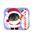 リアンクリスマス2021ver.（個別スタンプ：3）