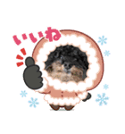 リアンクリスマス2021ver.（個別スタンプ：5）