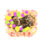 イナリ＆ルフィ2（個別スタンプ：8）