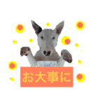 仲良し3兄弟犬 2（個別スタンプ：3）