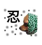 仲良し3兄弟犬 2（個別スタンプ：4）