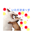 仲良し3兄弟犬 2（個別スタンプ：8）