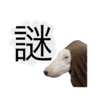 仲良し3兄弟犬 2（個別スタンプ：12）
