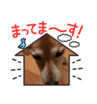 ぽてちゅのスタンプ（個別スタンプ：16）