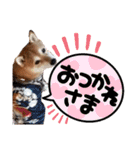 ぽてちゅのスタンプ（個別スタンプ：19）