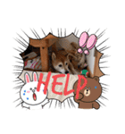 ぽてちゅのスタンプ（個別スタンプ：32）