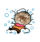 ライムちゃん❤ ②（個別スタンプ：20）