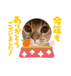 ライムちゃん❤ ②（個別スタンプ：23）