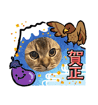 ライムちゃん❤ ②（個別スタンプ：25）
