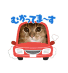 ライムちゃん❤ ②（個別スタンプ：27）