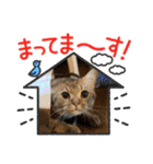 ライムちゃん❤ ②（個別スタンプ：28）